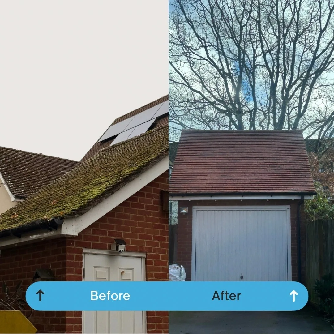 Roof moss removal, before and after